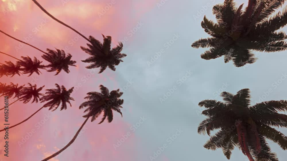 Smoothly moving infinite road with palm trees on both sides with a sunset sky in a bottom view Background. Carefree summer rest concept on vertical video