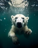 A picture of a polar bear submerged in water in an ice zoo, in the style of nature 