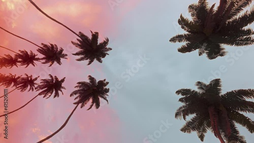 Smoothly moving infinite road with palm trees on both sides with a sunset sky in a bottom view Background. Carefree summer rest concept on vertical video