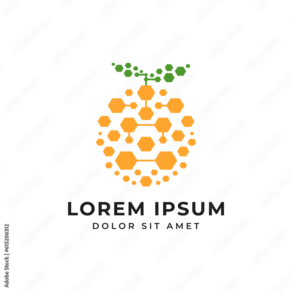 Digital fruit logo. Concept of logo in the form of a orange with circuit board design template Digital fruit logo. Concept of logo in the form of a orange with circuit board design template