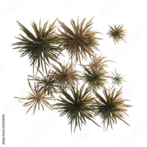 Grass isolated on white. 3D illustration