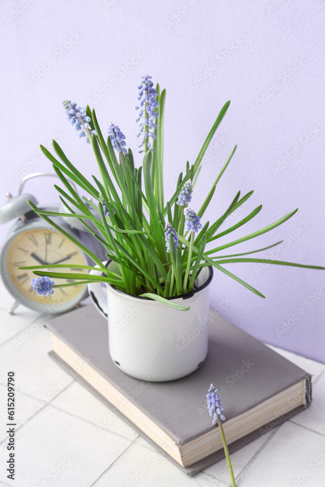 Fototapeta premium Spring muscari flowers in white enamel mug with vintage alarm clock and book on table, fresh spring arrangement with green leaves and purple blooms