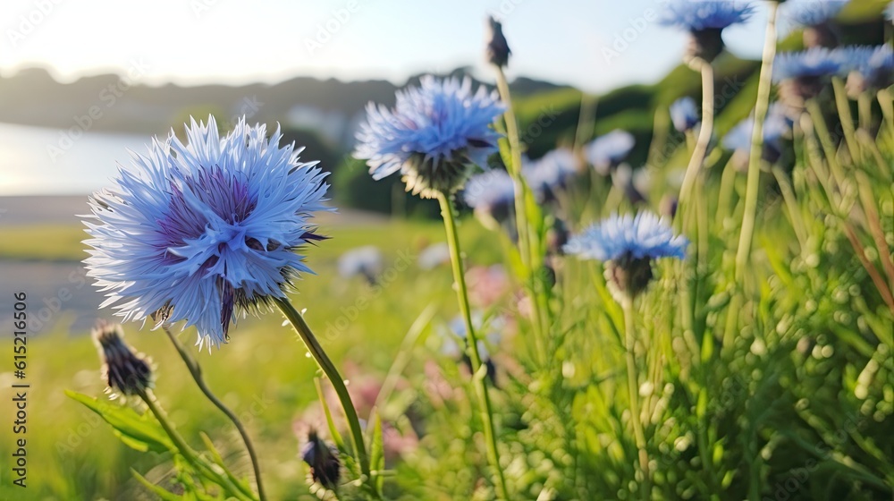 Blue colored Centaurea cyanus is the most common cornflower in Germany's fields, generative AI content. Blue colored Centaurea cyanus is the most common cornflower in Germany's fields, generative AI content.