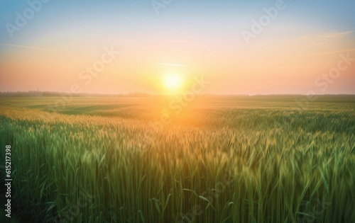 Bright morning sun rising over horizon shining over a field of growing green wheat