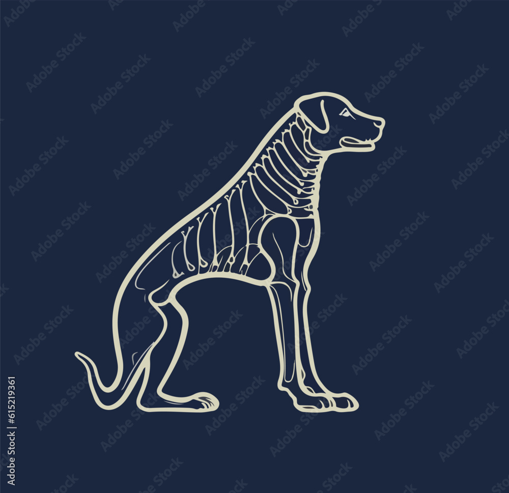 Fototapeta premium Vector illustration of a dog with visible skeleton