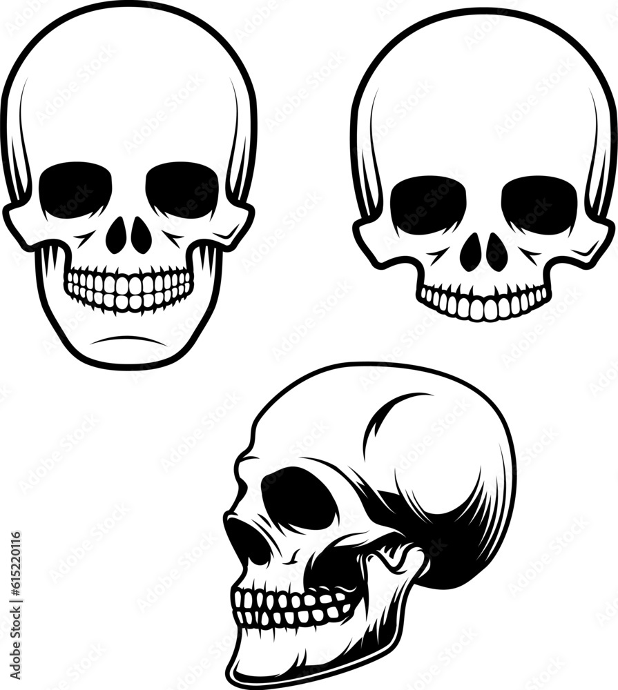 Fototapeta premium Set of the human skulls in vector
