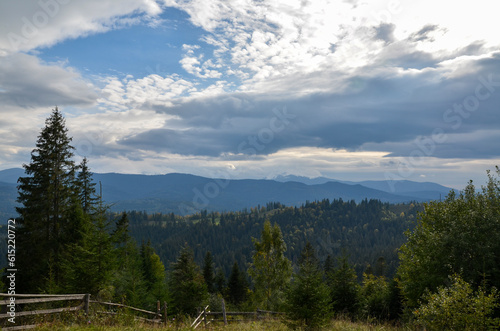 Picturesque summer landscape in Carpathian mountains. Lush green forest and cloudy sky. Travel background concept