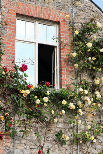 Brick house with blooming roses and flowers on the wall and open window in spring