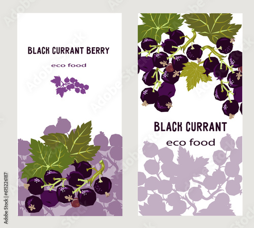Black currant berry or jam pack labels or stickers bundle, hand drawn vector illustration. Black currant berry food label mockups st.