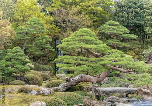 Fabulous Japanese Garden