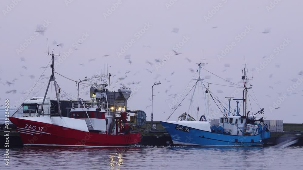 2023. 15. 02 seagulls flying over fishing boats port hel poland
