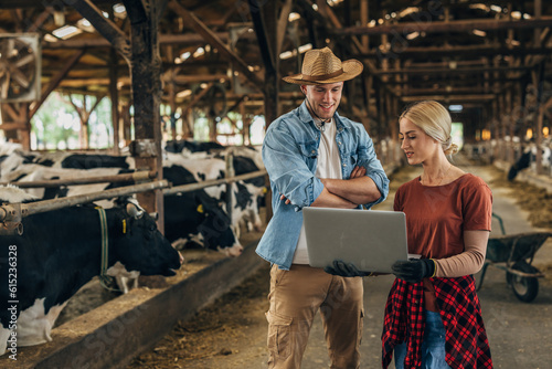 Caucasian farmers working in a stall and using laptop.