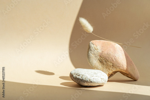 Podium for exhibitions and product presentations material stone, wood. Beautiful beige background made of natural materials. Abstract nature scene with composition.