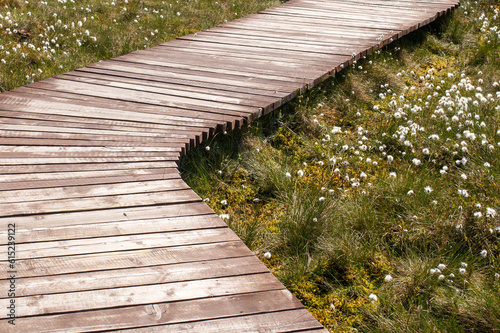 wooden path in the park. Ecotrail Sestroretsk swamp photo