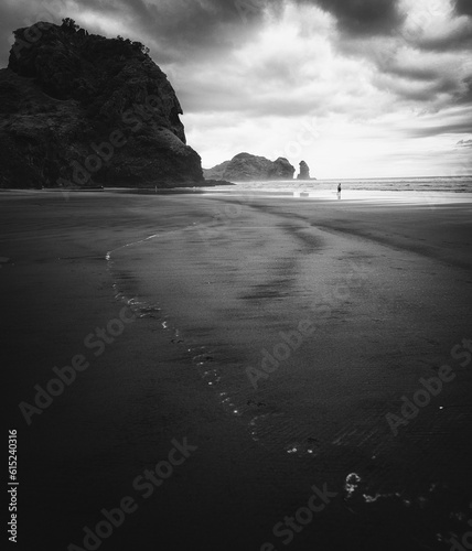 Famous Piha Beach in New Ze...