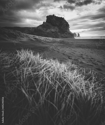 Famous Piha Beach in New Ze...