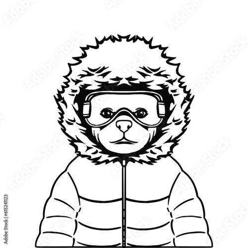 Vector illustration outline black of a bear snowboarder in a winter jacket and goggles
