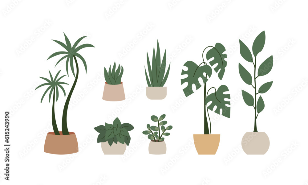Set of home potted plants. Vector flat illustration on isolated background. Various houseplants interior decor. 