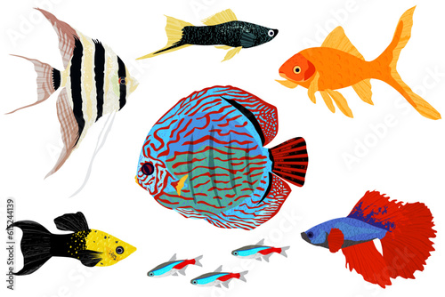 A set of different fresh water tropical fish, in a cut paper style with textures, Angelfish, Black swordtail, Goldfish, Discus, Golden black lyretail molly, Neon tetra, Betta

