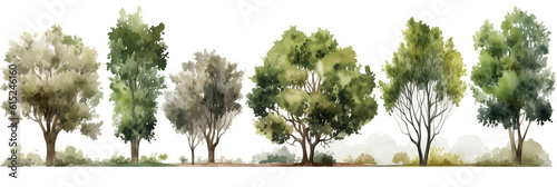 Vector watercolor of tree side view isolated on white background for landscape and architecture drawing, elements for environment and garden, Generative AI
