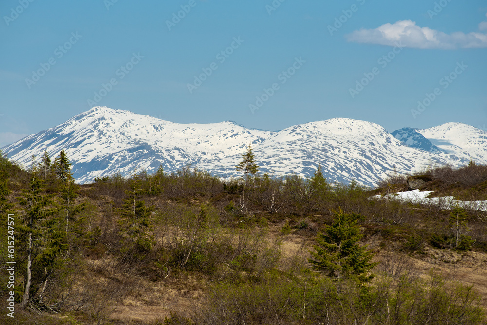 Mountain view from Risfjellet, Mo i Rana, Norway. Norwegian mountain landscape in early summer with snow on the high mountain peaks. Pine trees and high altitude. Mountain lake, fjord. Blue and green.