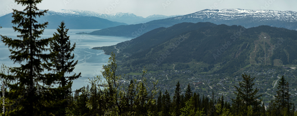 Mountain view from Risfjellet, Mo i Rana, Norway. Norwegian mountain landscape in early summer with snow on the high mountain peaks. Pine trees and high altitude. Mountain lake, fjord. Blue and green.