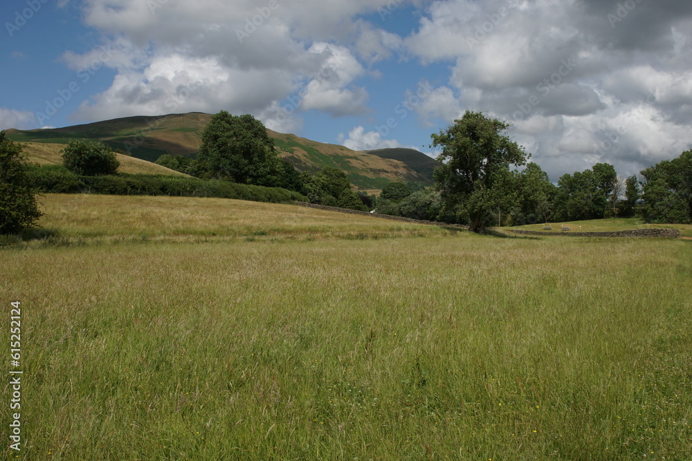 English Meadow and the Sedbergh and the Howgill Fells, Cumbria, England English Meadow and the Sedbergh and the Howgill Fells, Cumbria, England