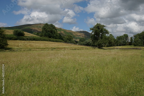 English Meadow and the Sedbergh and the Howgill Fells, Cumbria, England	 photo