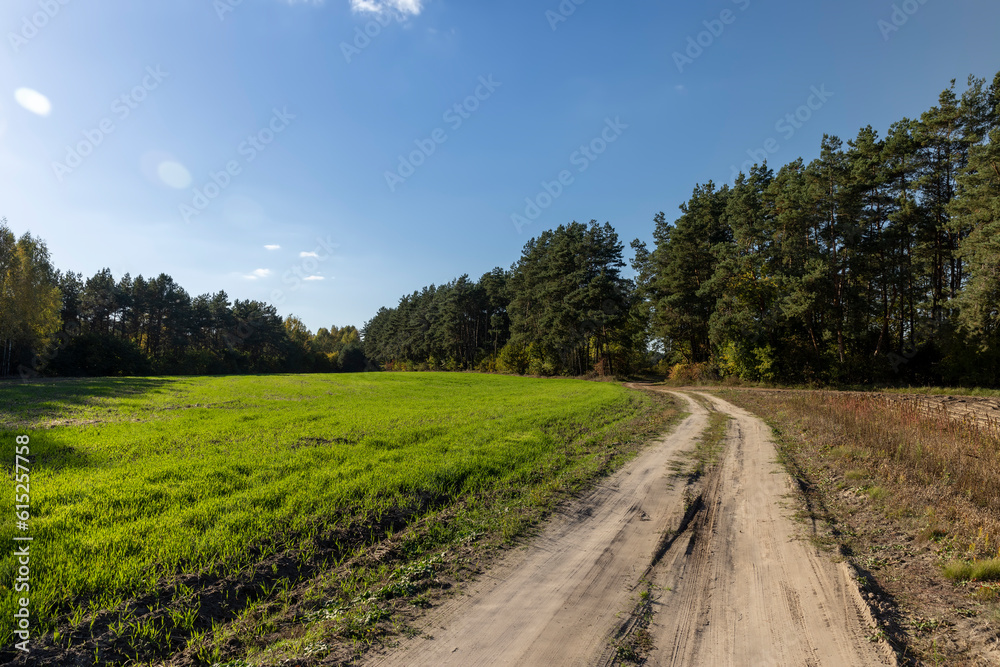 A rural road without asphalt in the autumn season