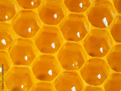 beecombs full of fresh honey in the detail - a macro photo