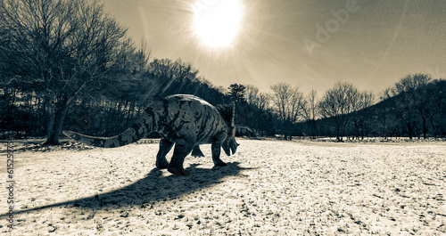 triceratops is walking alone in winter times on side view rear view