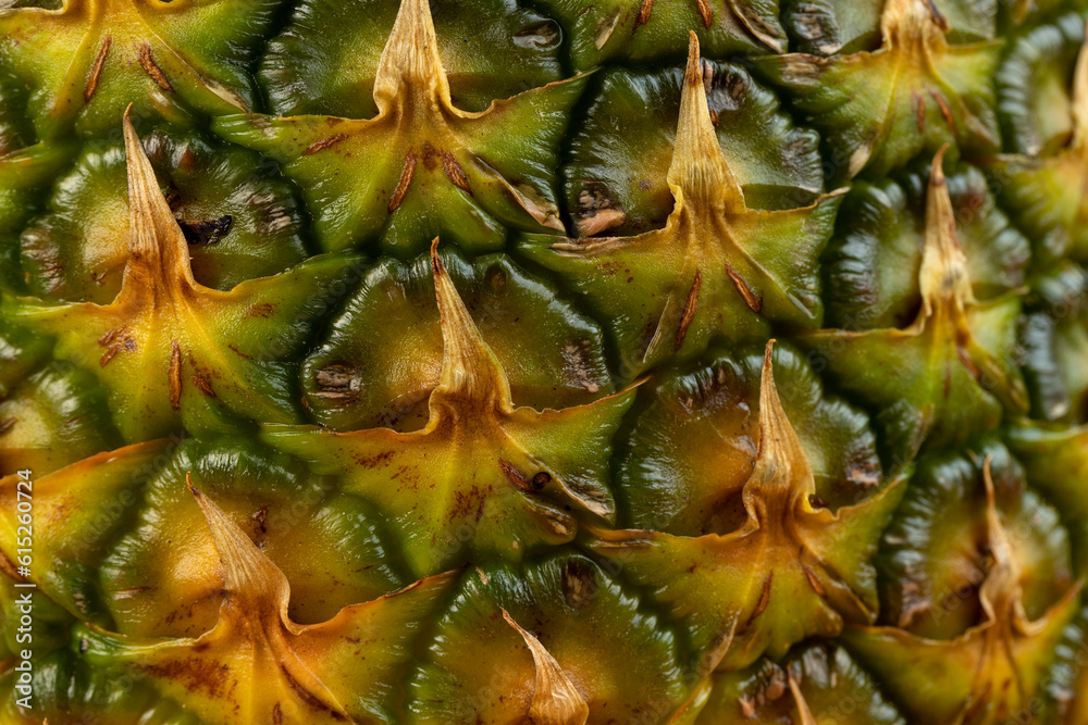 Ripe whole pineapple with green-yellow peel Ripe whole pineapple with green-yellow peel