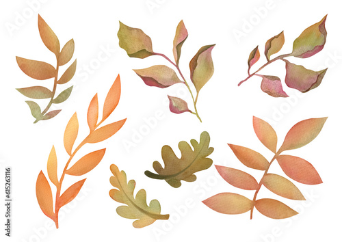 Set of colorful autumn leaves. hand-painted Watercolor illustration with floral autumn designer element collection isolated on transparent background. rowan branch, oak leaves, deciduous trees