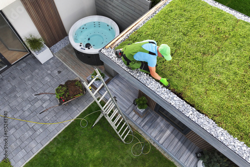 Professional Landscaper Installing Green Roof on Modern Garden Shed