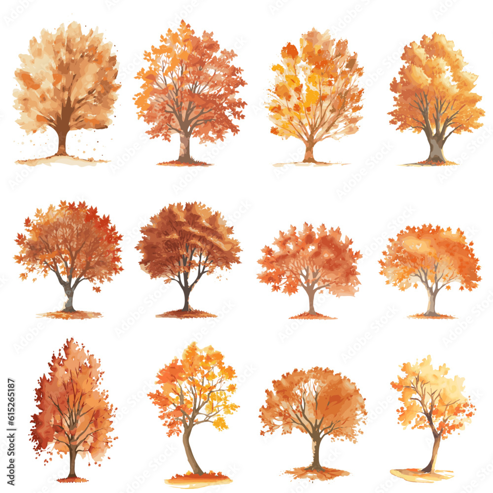 Verwunderlich Herbst Baum Zeichnung Bilder