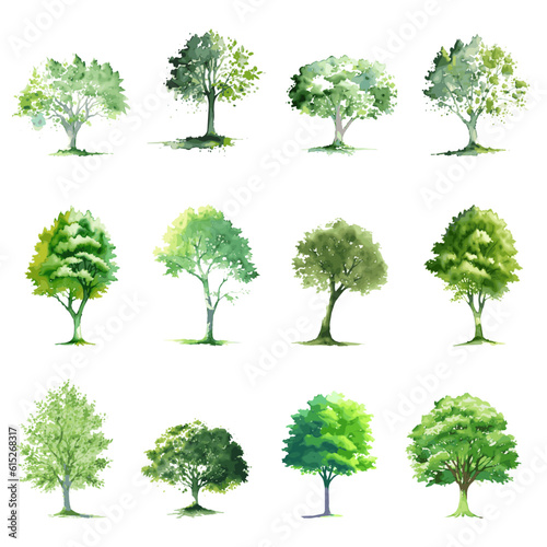 12 Grüne Bäume Aquarell Zeichnung Vektor Grafik | Green Trees Watercolor Drawings Vector Graphic