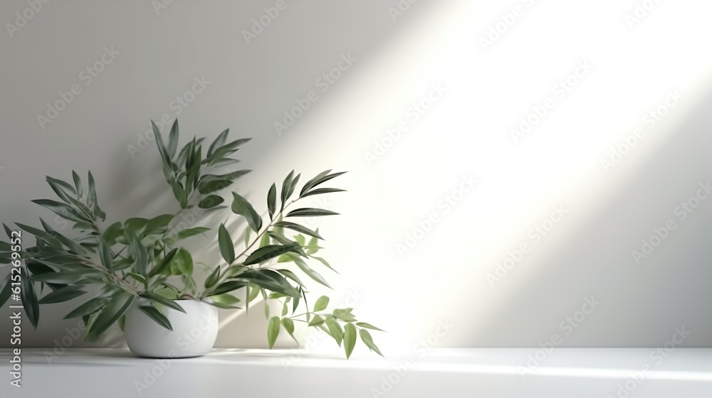 Minimalistic light background with plants on a white wall. Beautiful background for presentation with a smooth floor. Minimalistic light background with plants on a white wall. Beautiful background for presentation with a smooth floor.