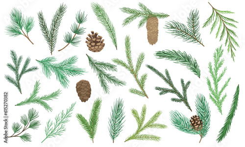 Set of Christmas tree branches. Evergreen pine growths with cones, cedar and coniferous twigs. Winter elements for New Year decorations. Cartoon flat vector collection isolated on white background