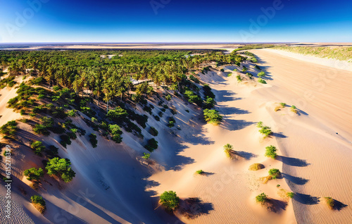 Aerial view of sand dunes. Generative AI.