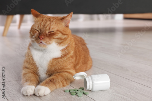 Photographie Cute ginger cat and vitamin pills indoors. Space for text