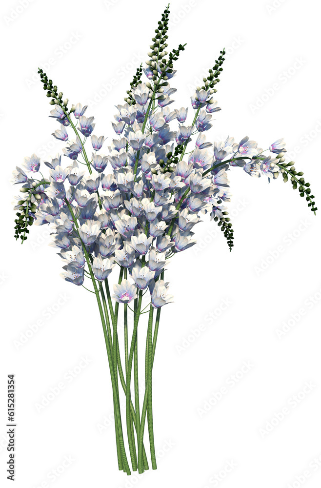 Naklejka premium bunch of lavender