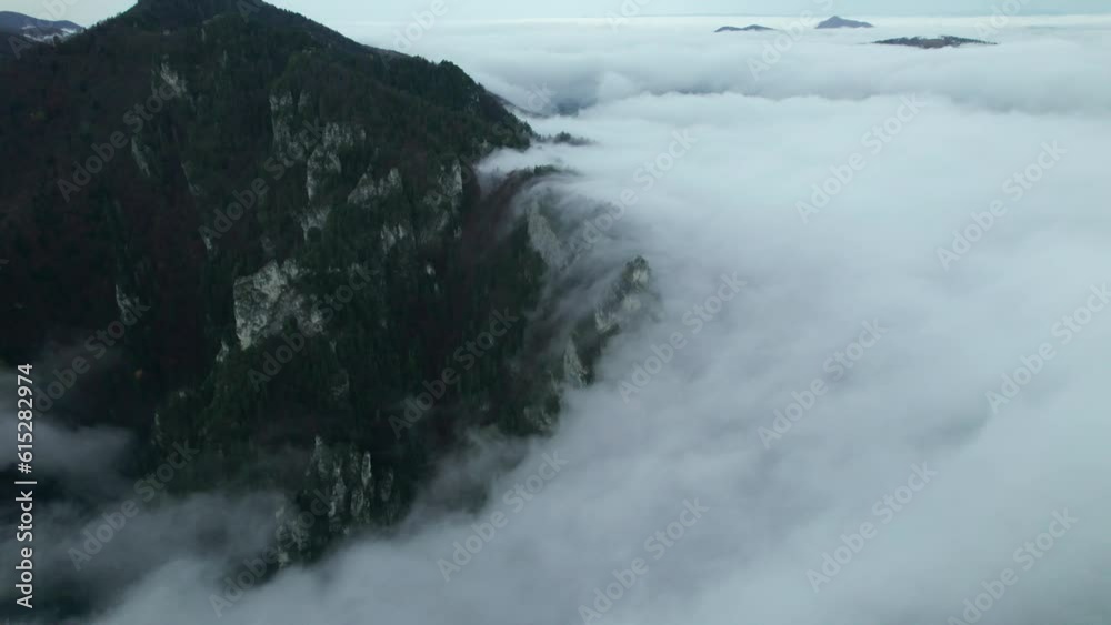 drone aerial, Misty forest autumn after rain, hills and mountains, drone aerial, Misty forest autumn after rain, hills and mountains,
