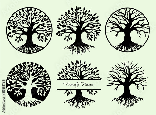Foto Tree of Life Vector Set, Hand-drawn Ancient Tree Clipart, Family Name Split Tree