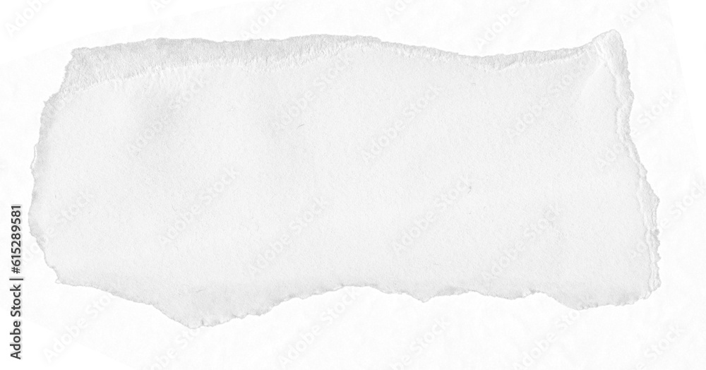 Stylish Ripped Paper Texture Stylish Ripped Paper Texture