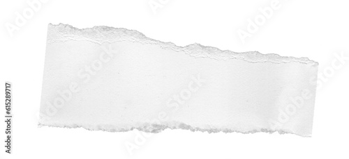 Stylish Ripped Paper Texture