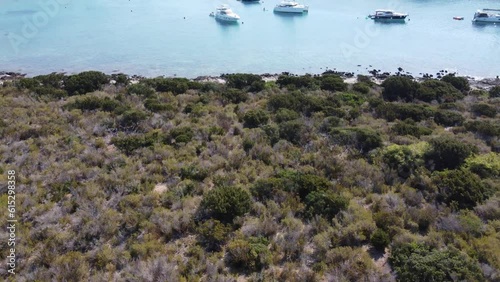 Boats and Yachts anchored in Blue Lagoon Bay of Veliki Budikovac Island, Croatia. Aerial photo