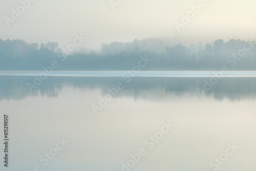 Minimlistic background with forest reflection on the water