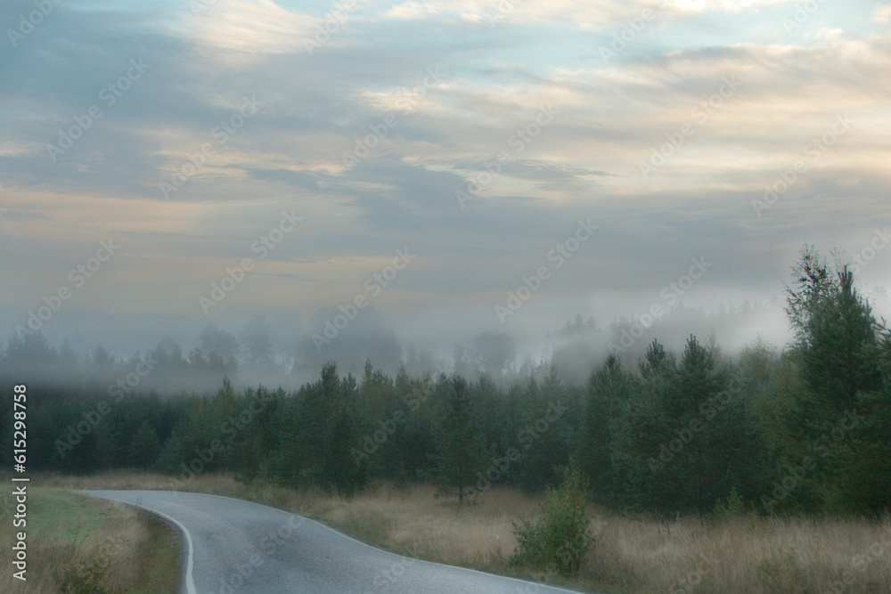 Early morning sky background with clouds, over a misty forest