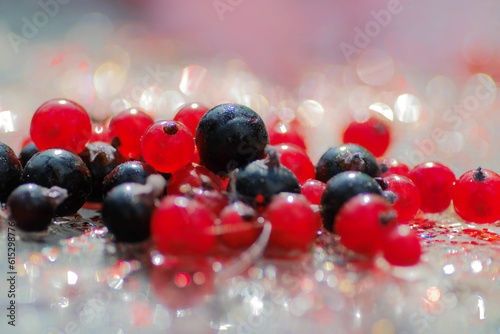 Close up of red and black currant berries