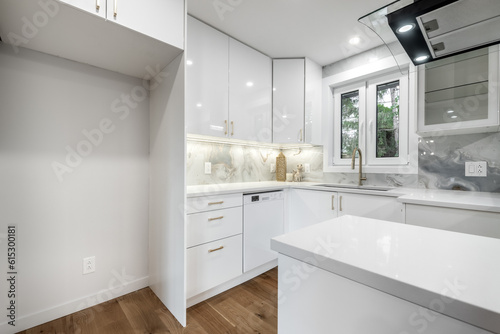 Fototapeta Naklejka Na Ścianę i Meble -  Canadian single family house, renovated with some luxury elements in design with kitchen, rooms, bedrooms, appliances, finished basement, laundry, backyard and patio